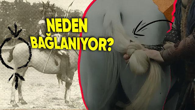Eski Türklerde Neden Savaşa Giderken Atların Kuyrukları Mutlaka Bağlanırdı? (Osmanlı’da da Vardı)