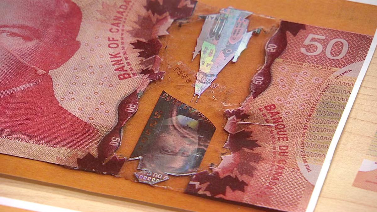 Sosyal Medyada Gündem Olan Kanada Parası Nasıl Oluyor da Yırtılmıyor?