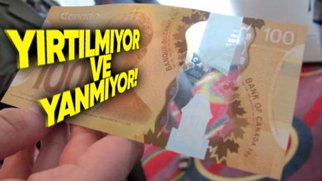 Sosyal Medyada Gündem Olan Kanada Parası Nasıl Oluyor da Yırtılmıyor?