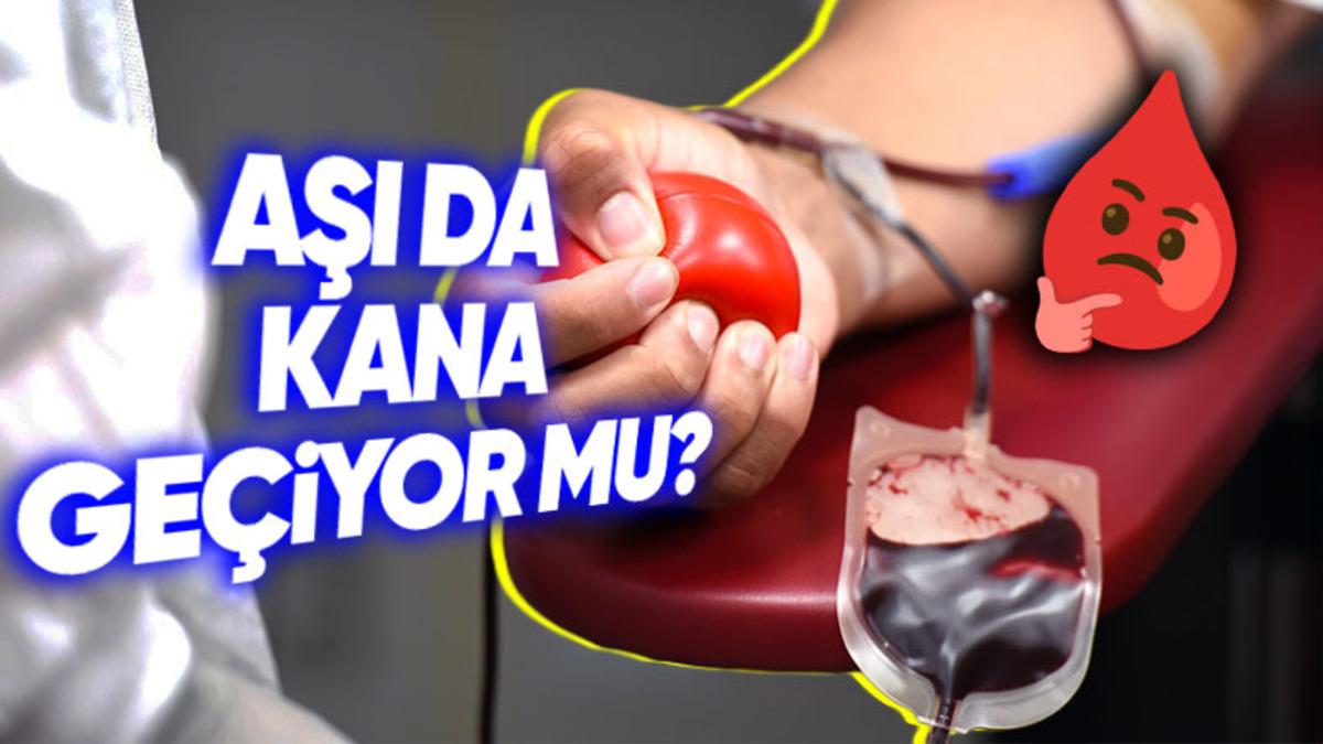 Kan Bağışlayan Kişinin Aşısı, Kan Nakledilen Kişiyi de Doğal Olarak Aşılı Kılıyor mu? İşte Bilimin Cevabı!