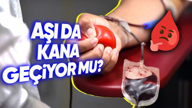 Kan Bağışlayan Kişinin Aşısı, Kan Nakledilen Kişiyi de Doğal Olarak Aşılı Kılıyor mu? İşte Bilimin Cevabı!
