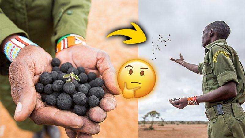Kenyalılar Neden Bu Siyah Topları Ülkenin Dört Bir Yanına Bırakıyor? Çok Mantıklı Bir Sebebi Var!