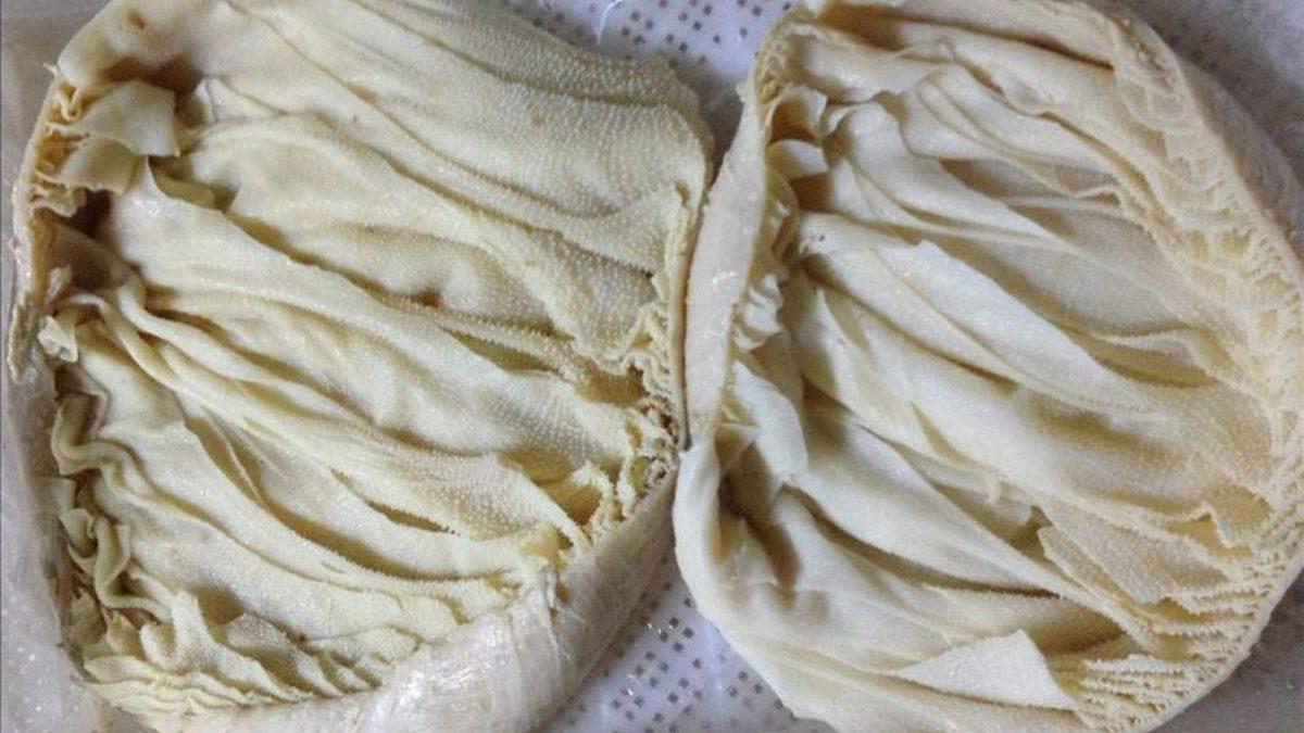 İneklerin, Çoğu Hayvandan Farklı Olarak Neden 4 Bölümlü Bir Midesi Vardır?