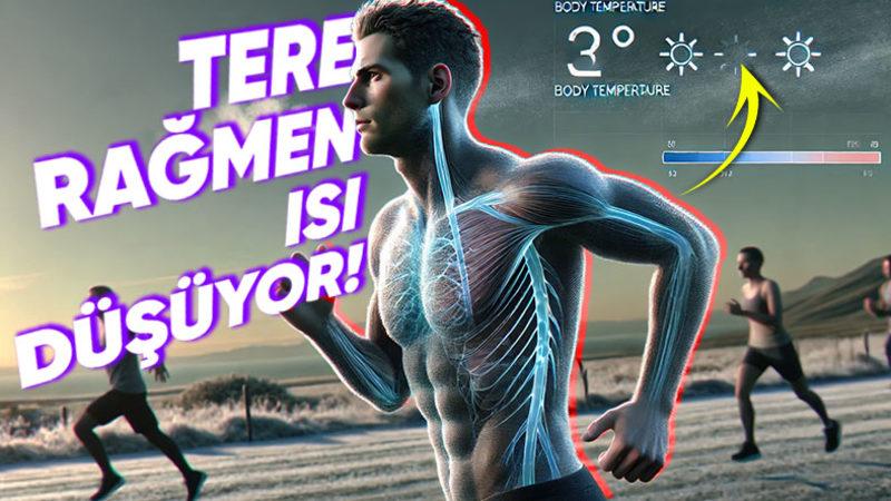 Vücut Sıcaklığımız Terlediğimiz Anda Yükselmek Yerine Neden Düşüyor? Sebebini Öğrenince Vücudumuzun İşleyişine Hayran Kalacaksınız