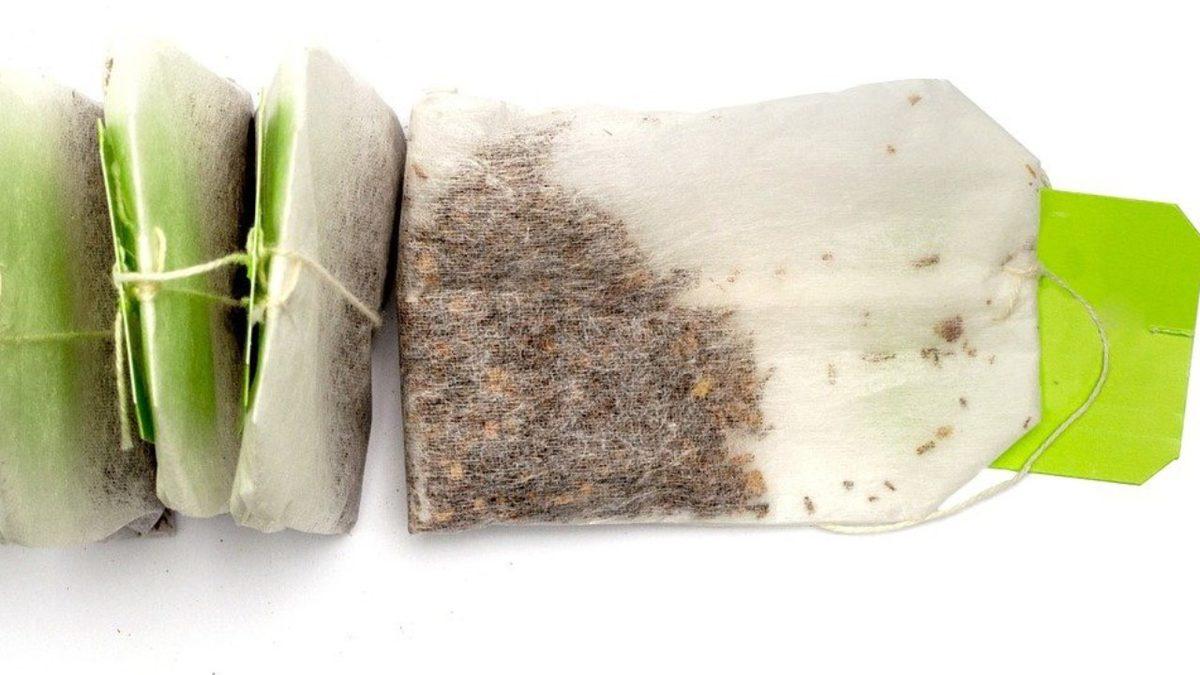 Poşet Çayların İçinde Nasıl Oluyor da 1200’den Fazla Böcek Türü DNA’sı Bulunuyor?