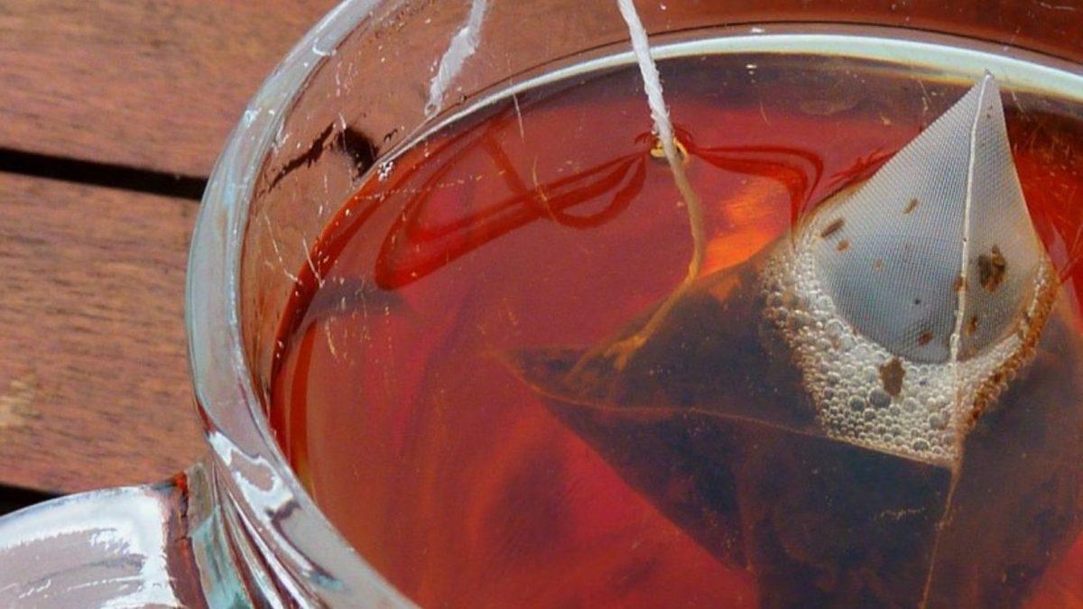 Poşet Çayların İçinde Nasıl Oluyor da 1200’den Fazla Böcek Türü DNA’sı Bulunuyor?