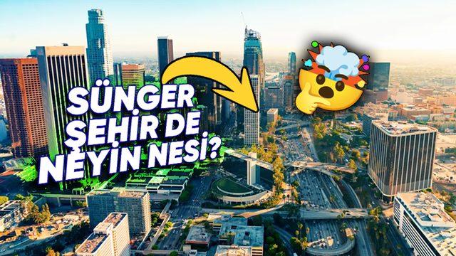 Hollywood’dan Sünger Şehir’e: Los Angeles Neden Kendini "Sünger Şehir" Olarak Tanımlamaya Çalışıyor?