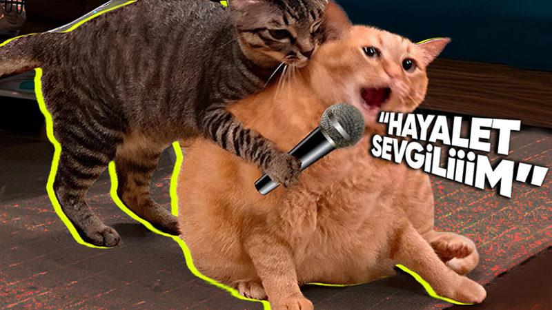 Neden Bazılarımız Çok İyi Şarkı Söylerken Bazılarımızın Basit Bir Şarkıyı Bile Söyleyebilecek Güzellikte Sesi Olmuyor?