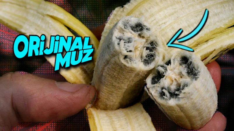 Neredeyse Tüm Meyvelerde Çekirdek Varken Muzlarda Neden Yok? Üstelik Bu Şekilde Nasıl Çoğalabiliyorlar?