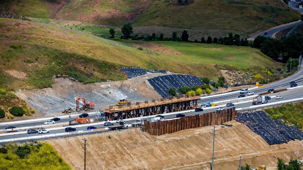 Her Gün Trafiğin Ortasında Can Çekişen Hayvanlar İçin İnşa Edilen Muazzam Yaban Hayatı Köprüsü (92 Milyon Dolar Harcandı!)