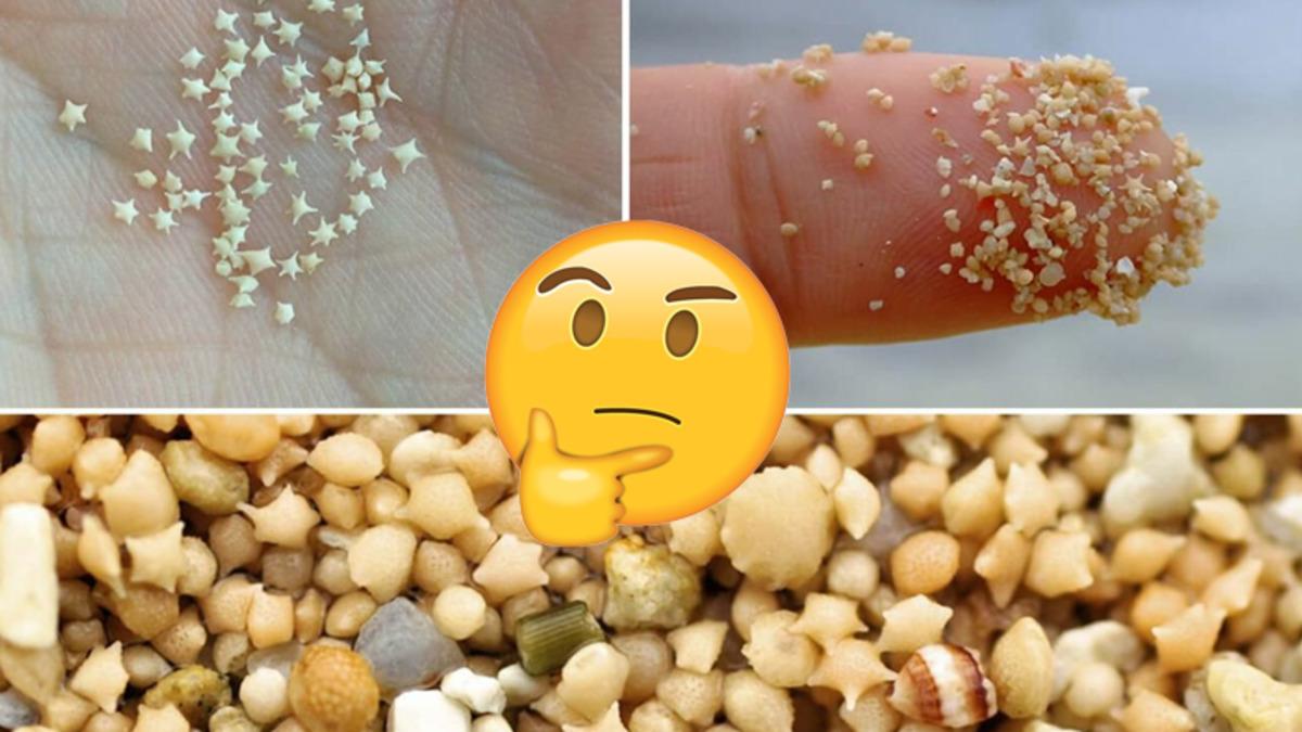 Japonya’nın Yalnızca 3 Farklı Adasında Rastlanan Yıldız Şeklindeki Bu Kum Tanecikleri Aslında Neyin Nesi?