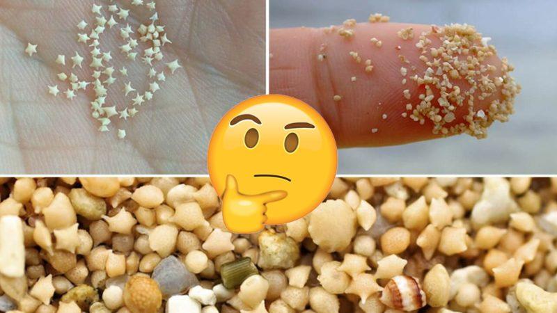 Japonya’nın Yalnızca 3 Farklı Adasında Rastlanan Yıldız Şeklindeki Bu Kum Tanecikleri Aslında Neyin Nesi?