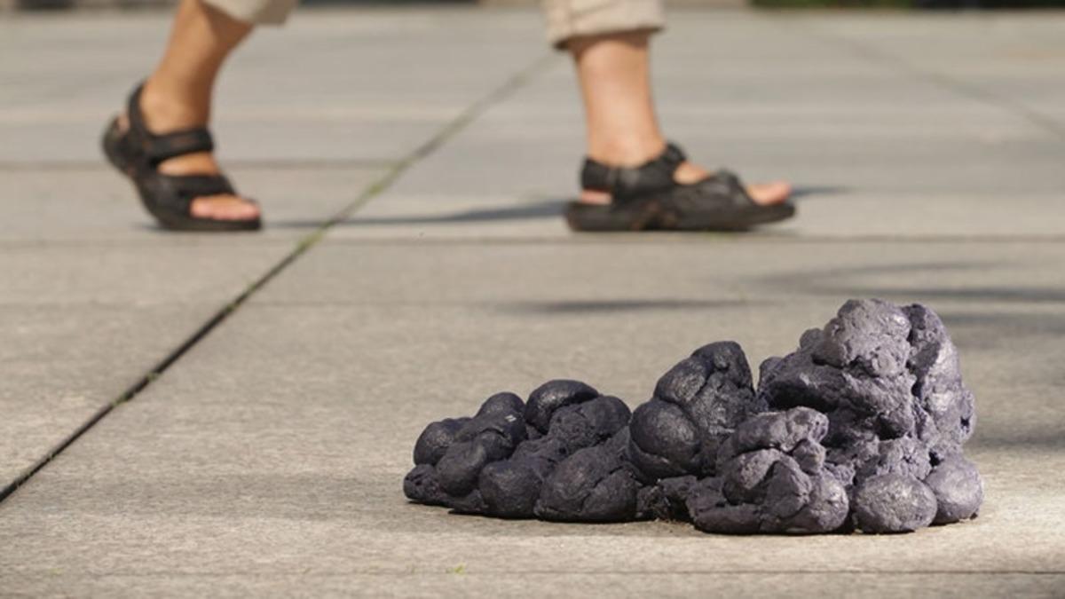 Bilim İnsanları, İnsan Dışkısından Yakıt Yaptı!