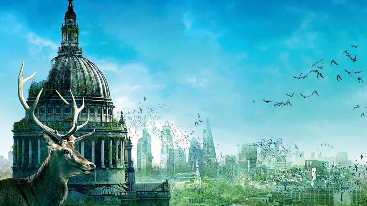 Eğer İnsanlık Hiç Var Olmasaydı, Dünya Nasıl Bir Yer Olurdu?