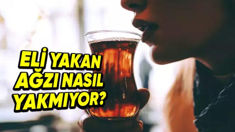 Sıcak Çay Bardağını Elimizle Tutamazken Aynı Çayın Ağzımızdan Geçmesi Nasıl Problem Olmuyor?