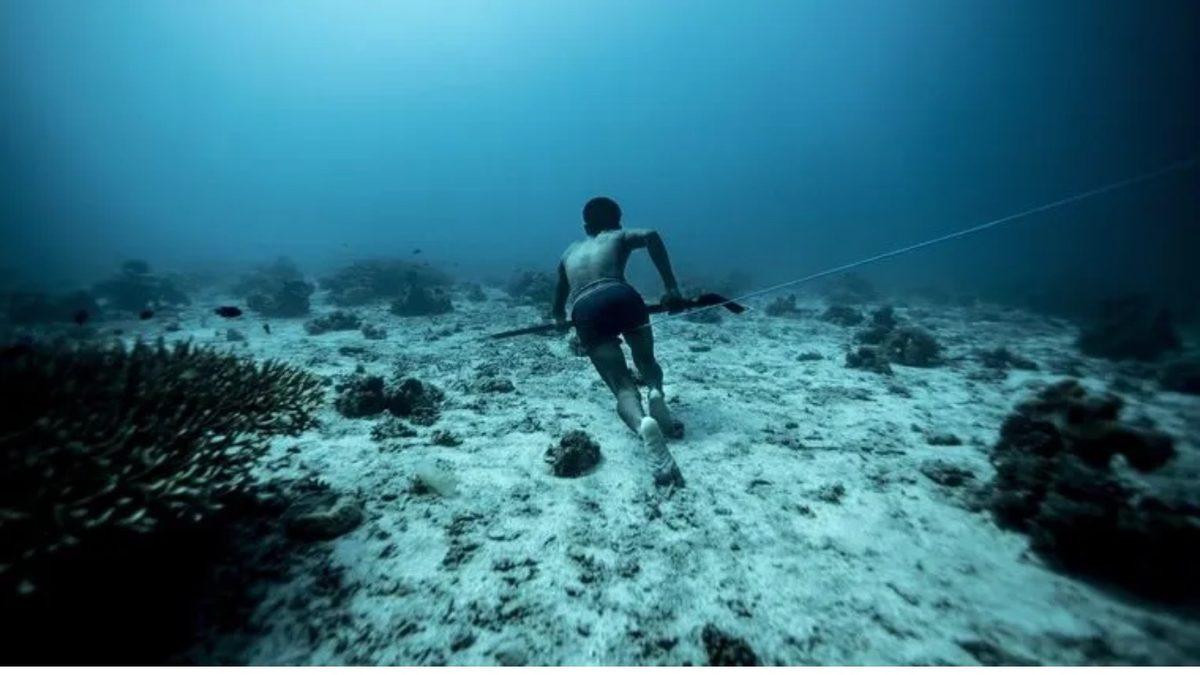 Yürümeden Yüzmeyi Öğrenen, Suda Yaşayan Bajau Kabilesi: Zaman Kavramları Bile Yok!
