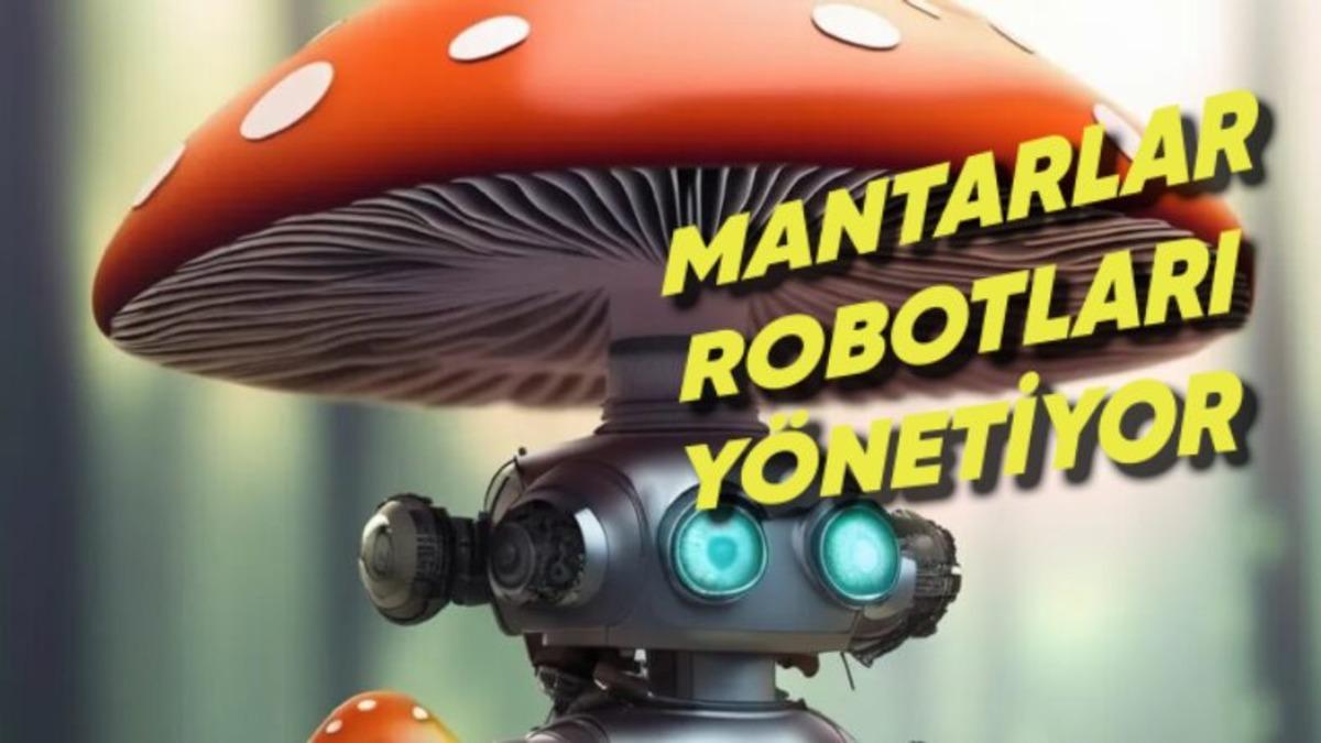 Bilim İnsanları Bir Mantarın Robotu Nasıl Kontrol Ettiğini Gösterdi! Bilim Dünyasında Şaşırtan Deney!