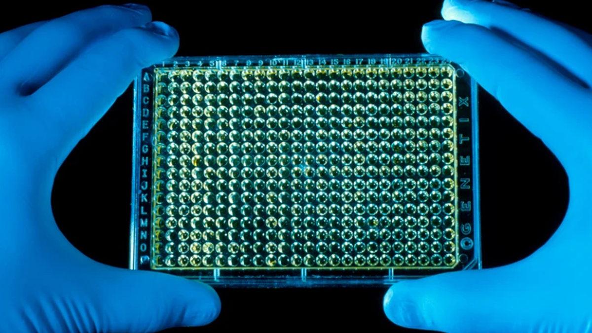 Yaşlanmayı Durdurmak, Genetik Hastalıkların Sonunu Getirmek İnsan Genomunu Değiştirmekle Mümkün Olacak mı?