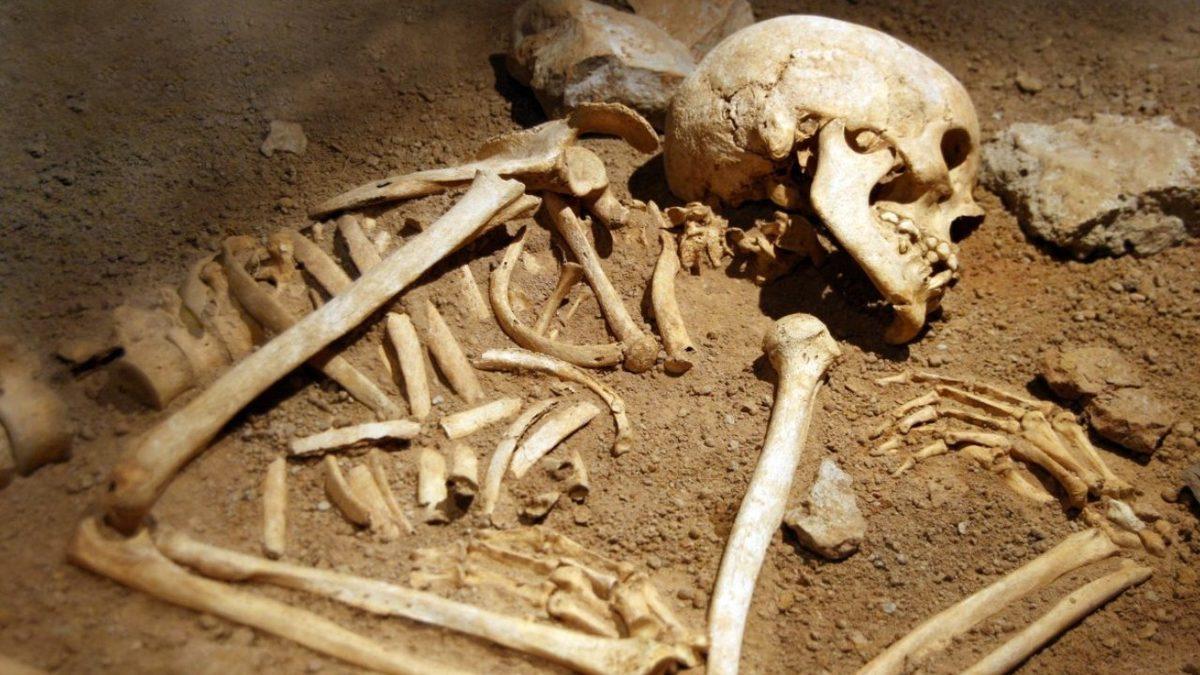 İskelet Bilimi: Toprağın Altında Diğer Tüm Organlar Çürürken Kemikler Uzun Yıllar Geçse Bile Neden Çürümez?