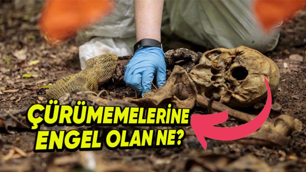İskelet Bilimi: Toprağın Altında Diğer Tüm Organlar Çürürken Kemikler Uzun Yıllar Geçse Bile Neden Çürümez?
