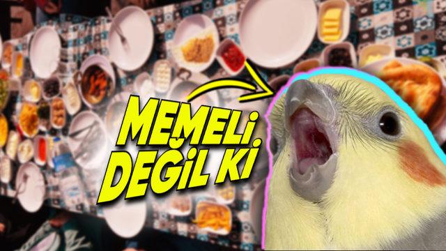 “Bir Kuş Sütü Eksik!” Derken Kastettiğimiz Kuş Sütü Gerçekten Var mı?