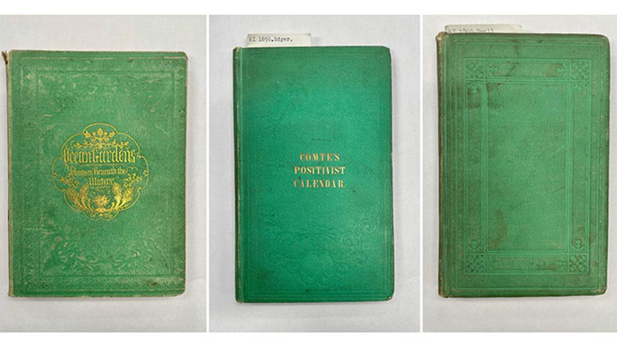 Kitapseverlerin Dikkatine: Kokusuna Aşık Olduğunuz O Eski Kitaplar Sizi Kimyasal Olarak Sinsice Zehirliyor Olabilir!