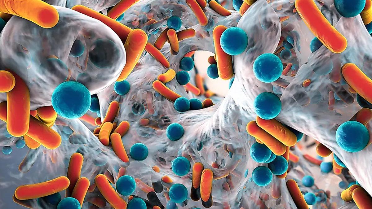 Dünyadaki Tüm Bakteriler Üst Üste Yığılsa Kaç Milyar Işık Yılı Boyunca Uzanırdı? Cevap Biraz Dudak Uçuklatıcı!