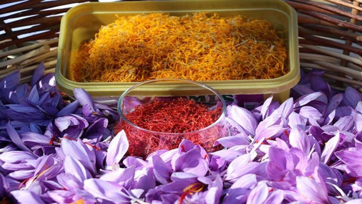 4 Gramının Fiyatı Neredeyse 1 Gram Altına Denk Olan Safran’ı Bu Kadar Pahalı Yapan Nedir?