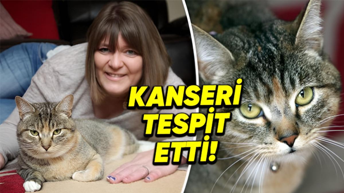 Tırmalama Hareketiyle Sahibinin Meme Kanserini Tam 2 Kez Tespit Ederek Onu Hayata Bağlayan Kedi: Missy