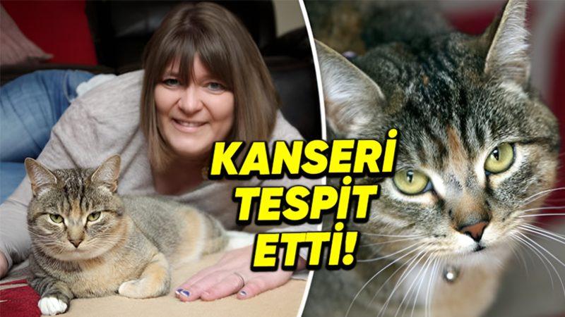 Tırmalama Hareketiyle Sahibinin Meme Kanserini Tam 2 Kez Tespit Ederek Onu Hayata Bağlayan Kedi: Missy