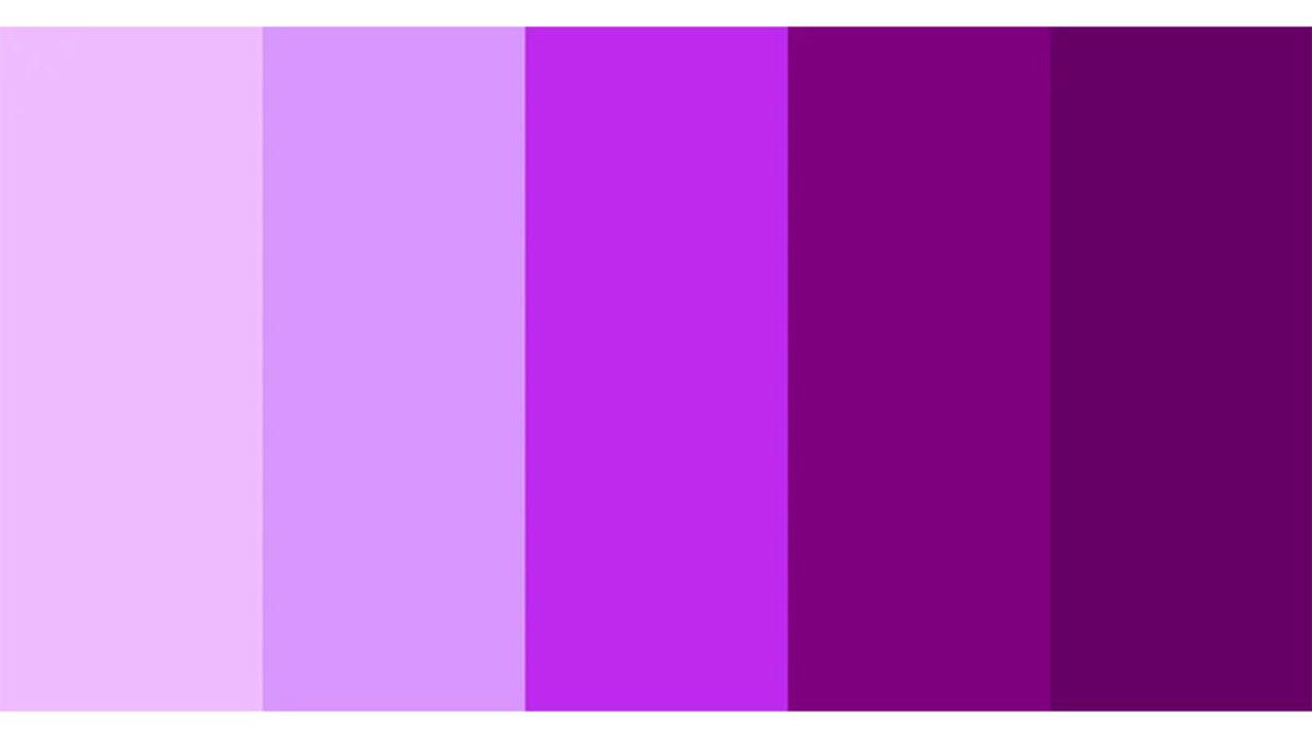 Neden Ülke Bayraklarında “Mor” Renk Göremiyoruz? Sandığınızdan Daha Garip Bir Sebebi Varmış!