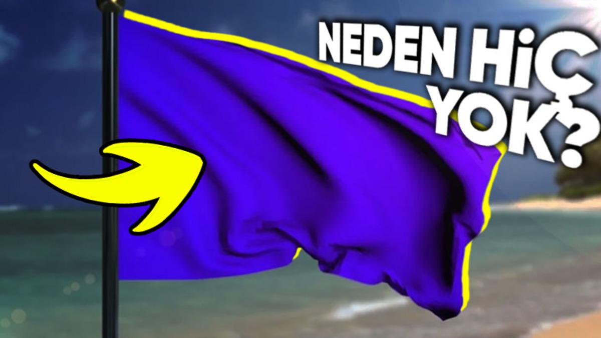 Neden Ülke Bayraklarında “Mor” Renk Göremiyoruz? Sandığınızdan Daha Garip Bir Sebebi Varmış!