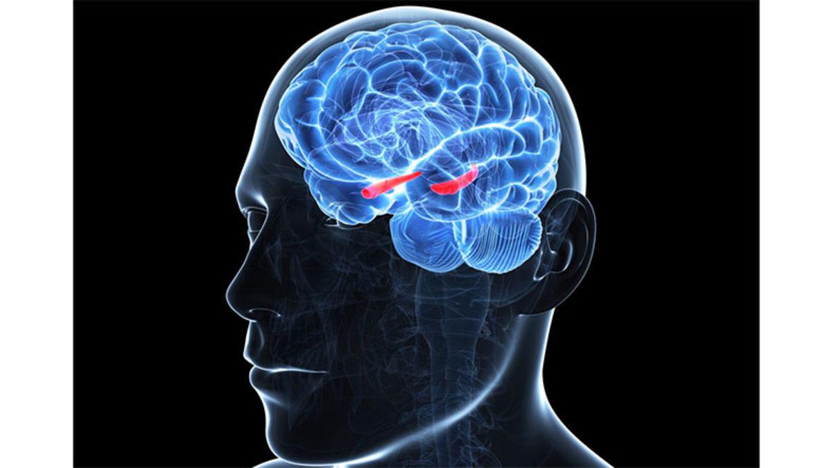 Bilime Göre Hafızaya Attığımız Büyük Küçük Her Anı Beyin Hücrelerinin Düşmanı Olabilir! (İzlediğiniz Reels Videoları da Dahil)