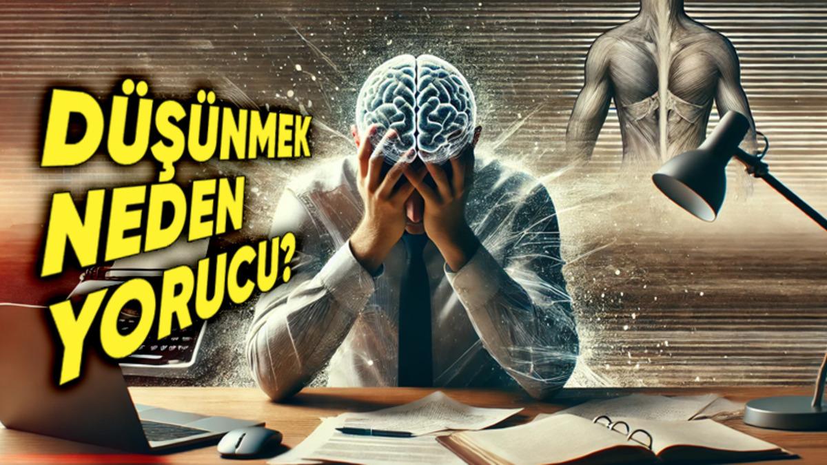 Masa Başında Sadece Beynimiz Yorulsa Bile Neden Maraton Koşmuş Gibi Fiziksel Yorgunluk da Hissediyoruz?