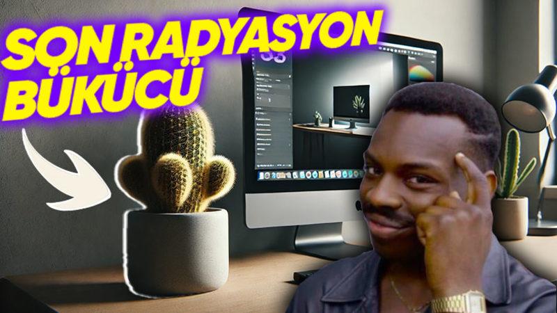 Sürekli Duyduğumuz O Bilginin Doğruluğunu Açıkladık: Kaktüs Radyasyonu Gerçekten de Engelliyor mu Yoksa Şehir Efsanesi mi?