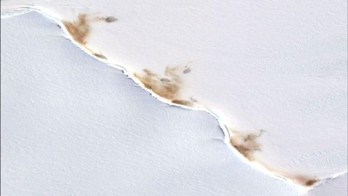 40 Yıl Düşünseniz Aklınıza Gelmez: Uzaydan Bile Görülebilen Bu Dışkı Hangi Hayvana Ait?