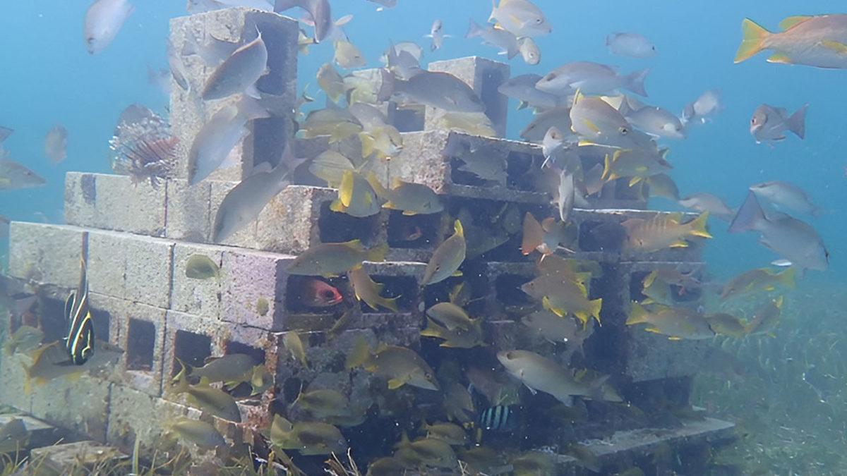 Neden Denizlerin Derinliklerine Büyük Beton Bloklar Atılıyor? (Hayır Çevreyi Kirletmek İçin Değil!)