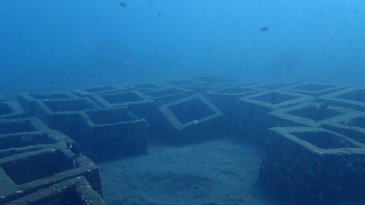 Neden Denizlerin Derinliklerine Büyük Beton Bloklar Atılıyor? (Hayır Çevreyi Kirletmek İçin Değil!)