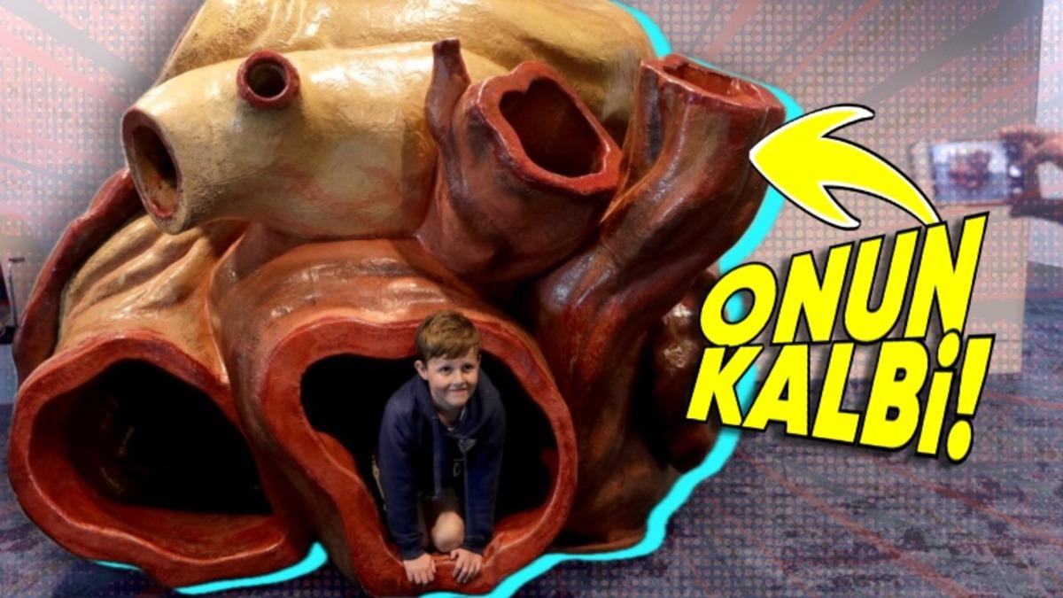 Aslında Onu Yakından Tanıyorsunuz: Hangi Hayvanın Kalbi Dakikada Sadece ’2’ Kez Atıyor?