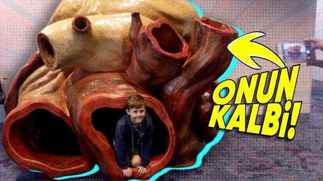 Aslında Onu Yakından Tanıyorsunuz: Hangi Hayvanın Kalbi Dakikada Sadece ’2’ Kez Atıyor?