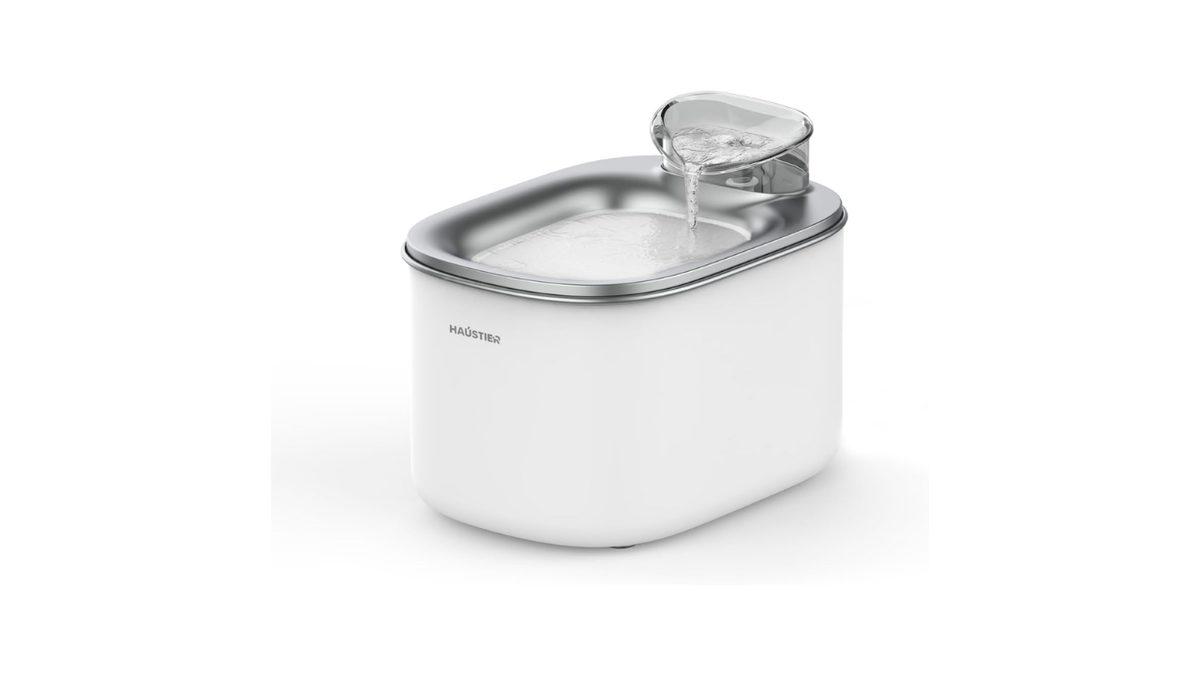 Evcil Hayvan Sahiplerinin Daha Önce Neden Almadım Diyeceği Ürün Önerileri