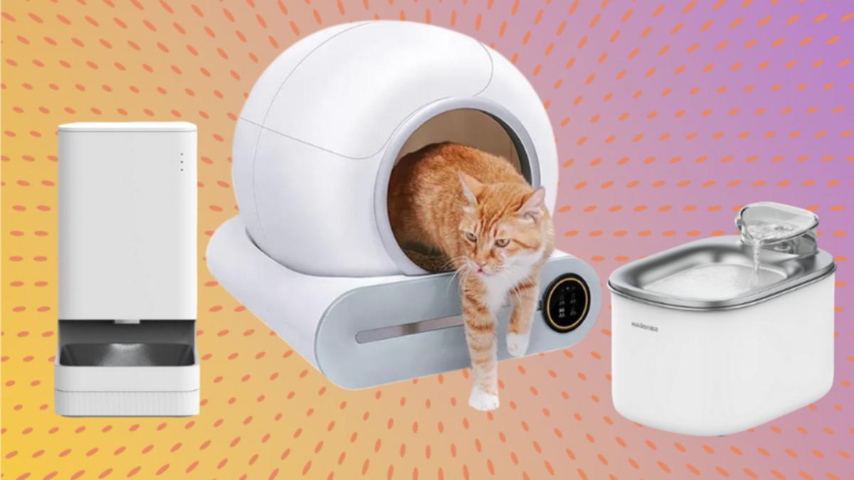 Evcil Hayvan Sahiplerinin Daha Önce Neden Almadım Diyeceği Ürün Önerileri