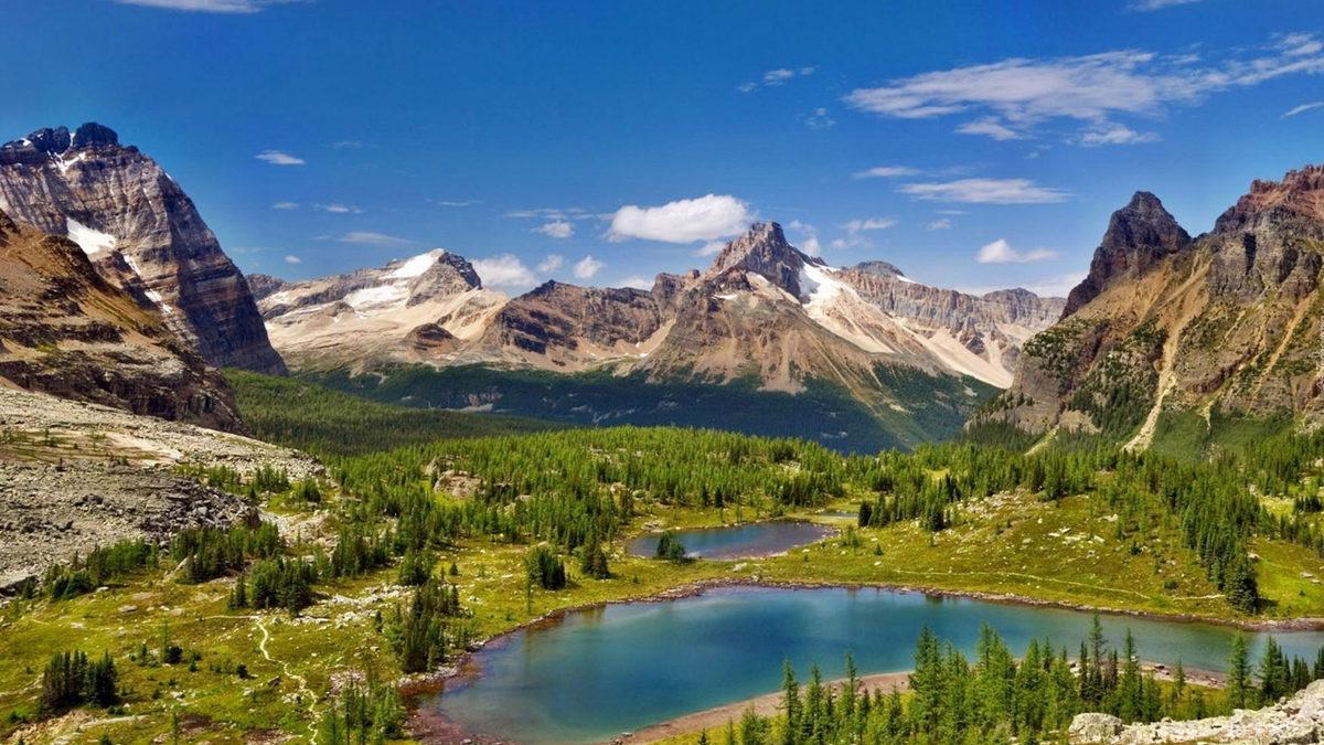 Durduk Yere Değil! Telefon Sinyallerinin Neden Bazen Kaybolduğunu ve Çözüm Yollarını Anlatıyoruz
