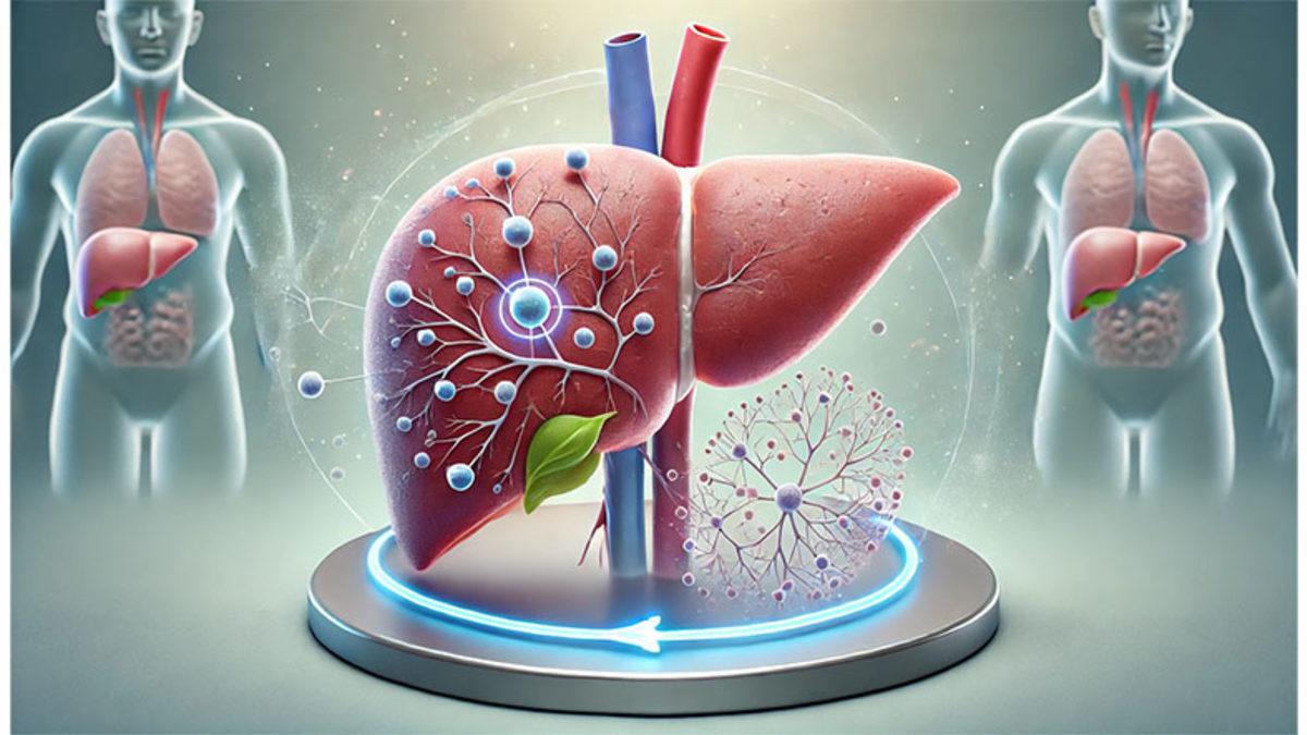 Cevabı Öğrenince Vücudunuzun İşleyişine Hayran Kalabilirsiniz: Karaciğer Kendini Yenileyebilen Bir Organ Olduğu İçin Tekrar Tekrar Bağışlanabilir mi?