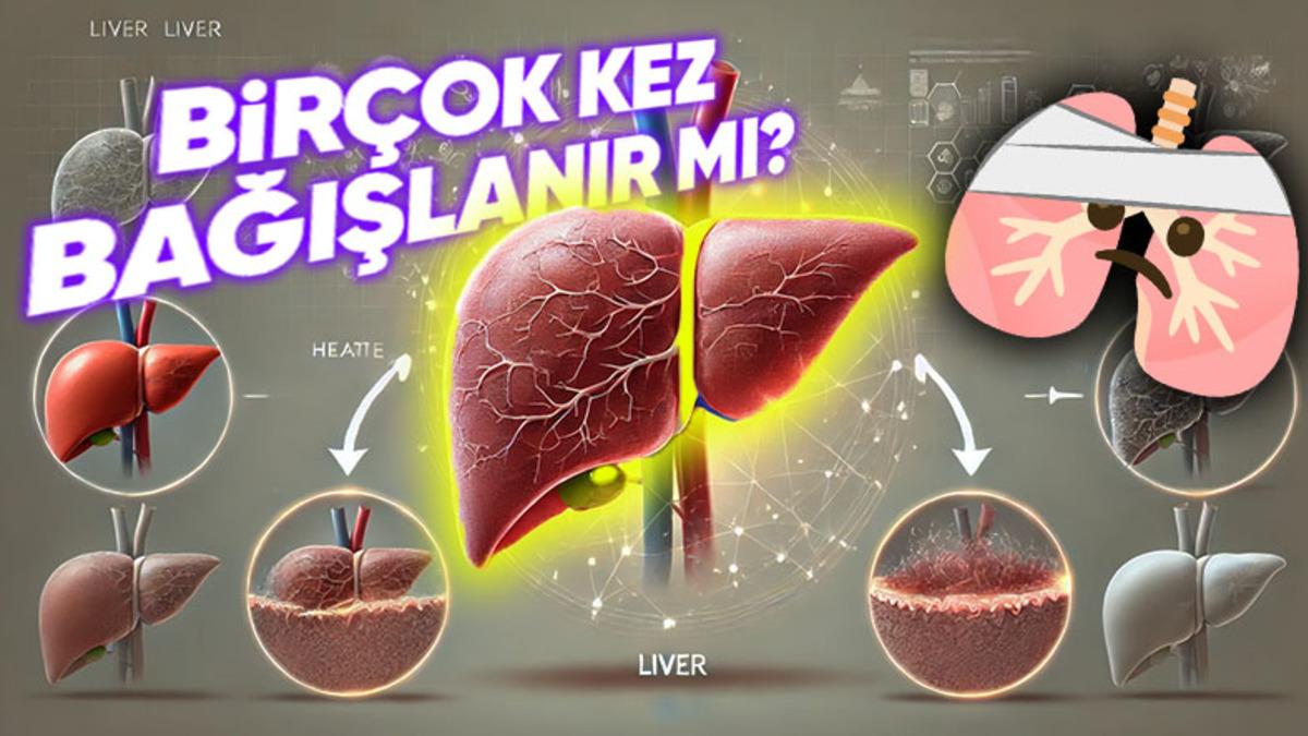 Cevabı Öğrenince Vücudunuzun İşleyişine Hayran Kalabilirsiniz: Karaciğer Kendini Yenileyebilen Bir Organ Olduğu İçin Tekrar Tekrar Bağışlanabilir mi?