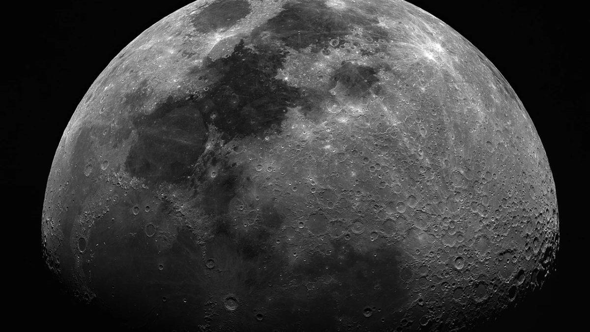 Bilim İnsanları Görevde: Nesli Tükenmek Üzere Olan Hayvanları, Ay’a Götürerek Kurtarmak Mümkün mü?