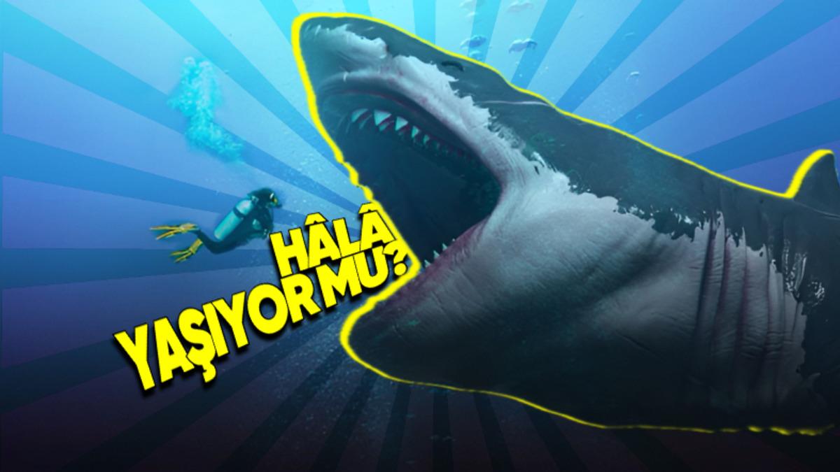 Görüntüsü Bile Tüylerinizi Ürpertecek: Dünyada Yaşamış En Büyük Köpek Balığı Megalodon’un Fantastik Özellikleri