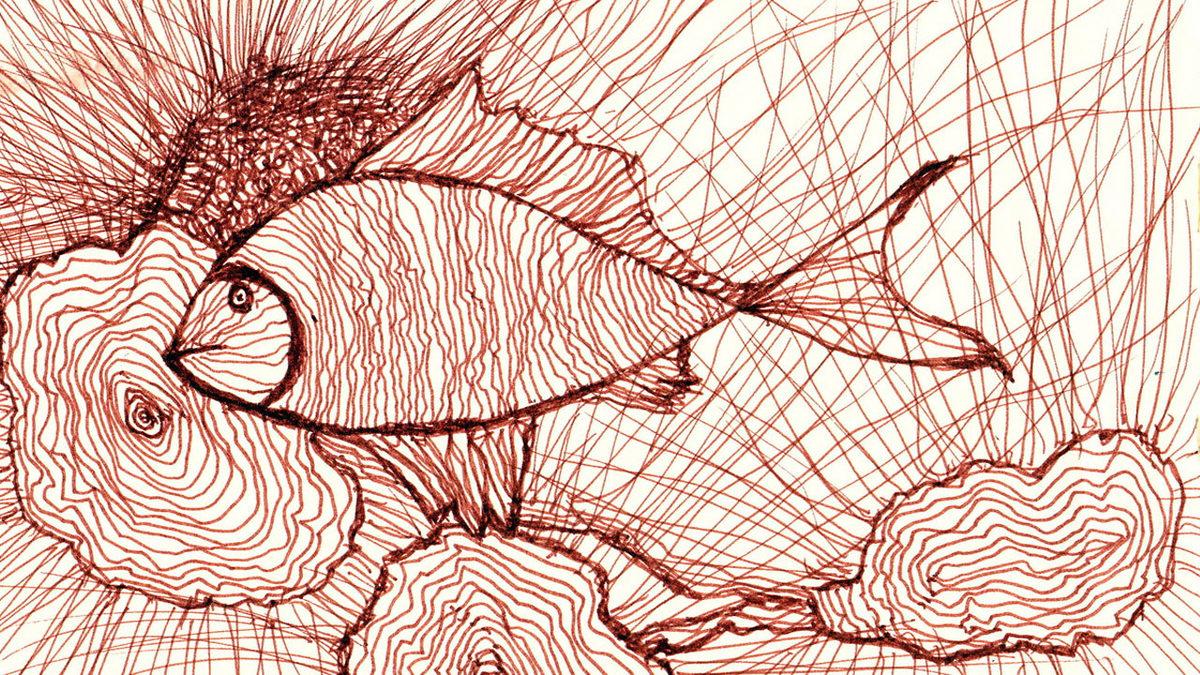 Sosyal Medyada Sıklıkla Gördüğümüz Karalama Yöntemiyle Gerçekten Ezberimizi Daha da Kuvvetlendirmek Mümkün mü?