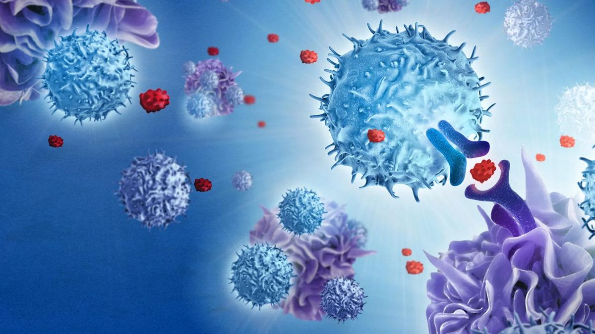 Bilim, Yaşlanmayı Gerçekten Durdurabilecek mi Yoksa Sadece Hayalden mi İbaret?