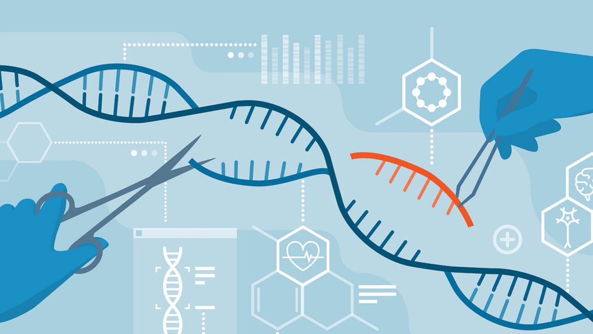 Bilim, Yaşlanmayı Gerçekten Durdurabilecek mi Yoksa Sadece Hayalden mi İbaret?